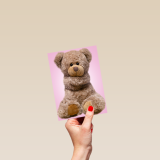 Chromazone Roze knuffelbeer