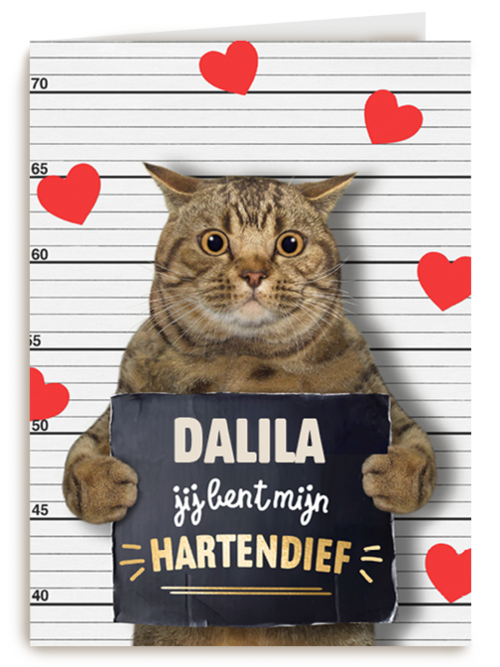 valentijn kaart kat grappig jij bent mijn hartendief