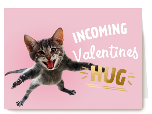 valentijnskaart grappig incoming valentines hug