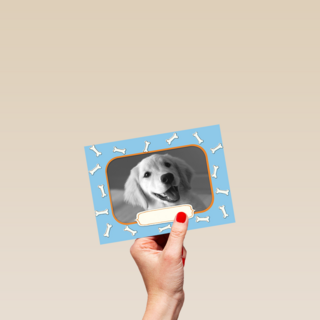 fotokaart met groetjes van onze hond