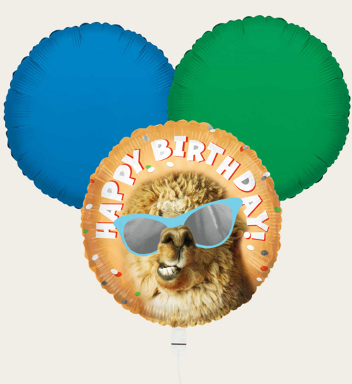 Ballonnentros Happy Birthday Lama Oranje