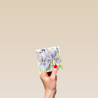 marjolein bastin blanco paars blauw bloemen