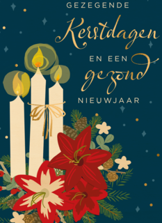 Gezegende kerstdagen en gezond nieuwjaar