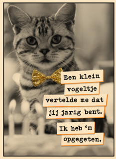Vogel Poes  verjaardag