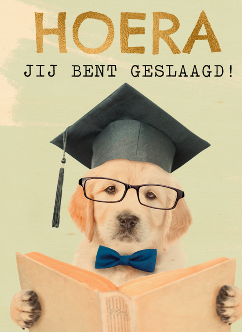 Hoera geslaagd slimme hond