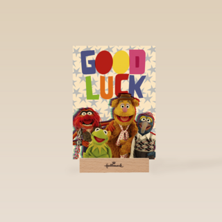 The Muppets Good Luck