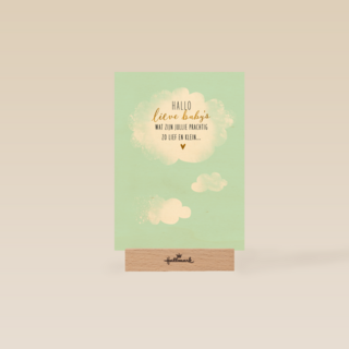 babykaart meerling hallo lieve babys groene achtergrond