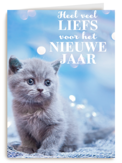 veel liefs voor het nieuwe jaar met deze kitten