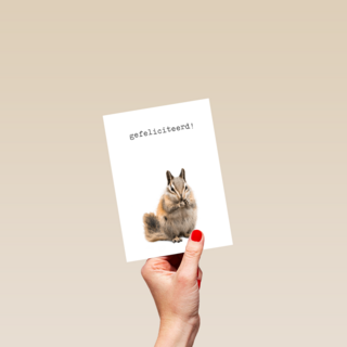 Gefeliciteerd kaart furry cuddles eekhoorn