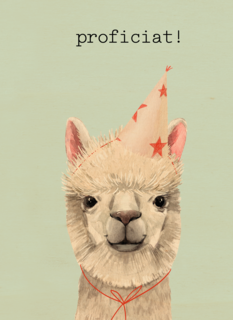 Verjaardag kaart hip happy birthday lama alpaca