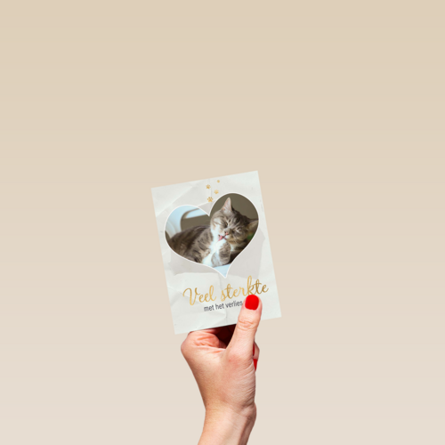 Fotokaart veel sterkte met verlies kat