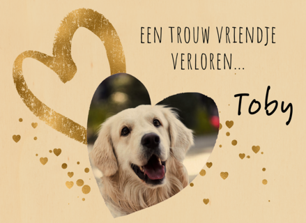 Condoleance huisdier foto