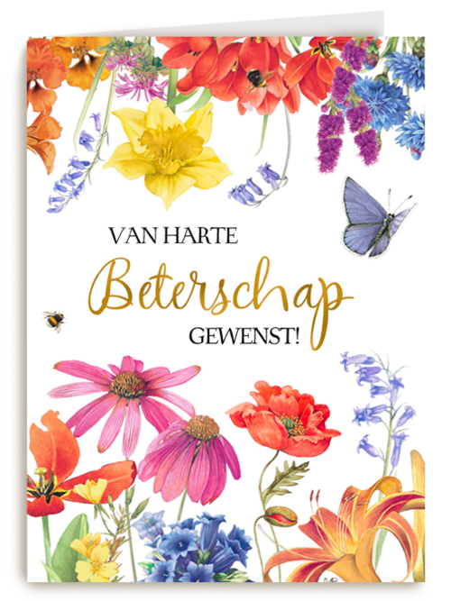 beterschapskaart van harte beterschap gewenst