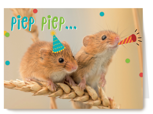 animal fiesta piep piep