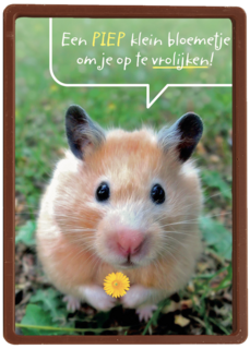 een piepklein bloemetje voor jou