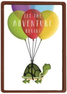 schildpad aan ballonnen