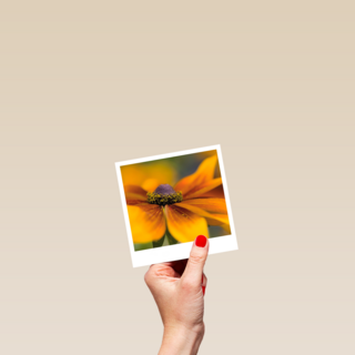 Sterkte kaart gele bloem Polaroid