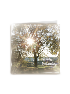 oprechte deelneming
