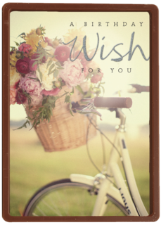 prodo a birthday wish for you