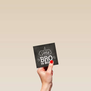 a little bro is born