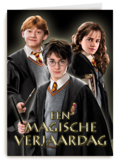 Harry Potter een magische verjaardag