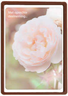 condoleance kaart klassiek met oprechte deelneming roos