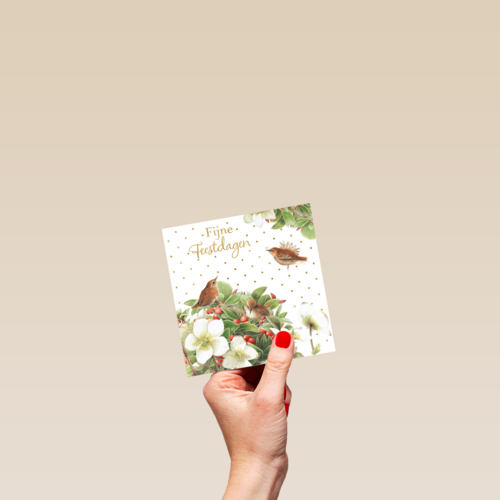 Kerstkaart klassiek Marjolein Bastin Winterkoninkje