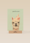 Verjaardag kaart hip happy birthday lama alpaca
