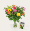 Boeket Bloemen Bonte Sparkel
