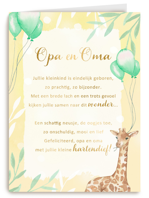 Geboortekaart kleinkind Opa en oma gefeliciteerdMore than words
