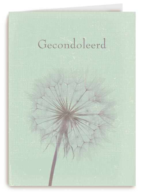 gecondoleerd paardenbloem