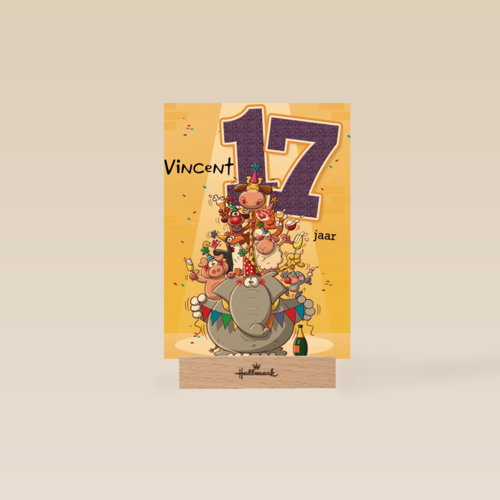 verjaardag leeftijden lorenzo de bruin 17