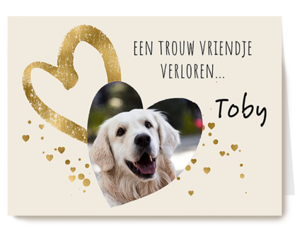 Condoleance huisdier foto