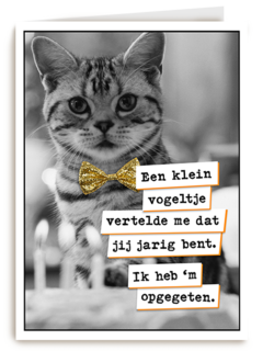 Vogel Poes  verjaardag