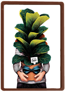vriendschap kaart folio with love plant