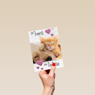 Valentijn Jij bent de liefste hond kat