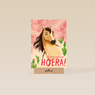 verjaardag kaart spirit hieperdepiep hoera