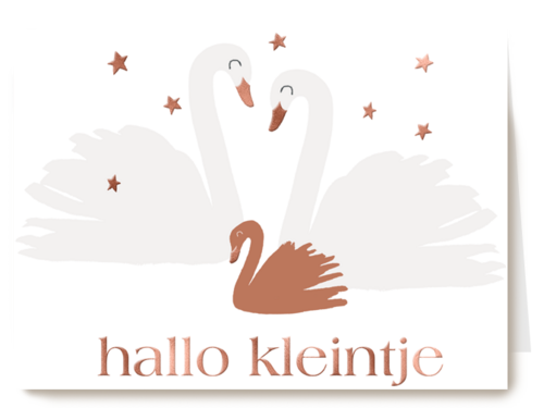 hallo kleintje met zwanen