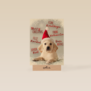 kerstpuppy met muts
