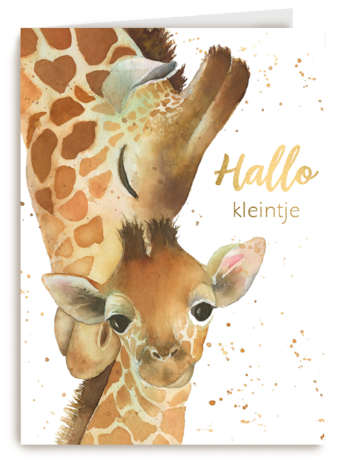 geboorte hallo kleintje giraffe