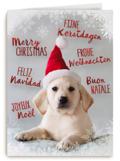 kerstpuppy met muts