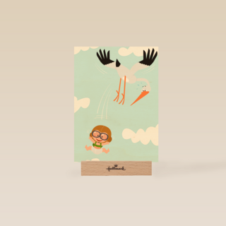 geboorte zoon ooievaar baby grappig
