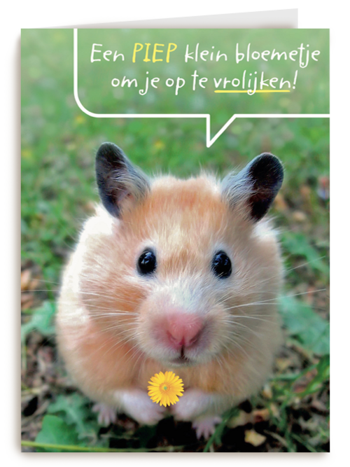 een piepklein bloemetje voor jou