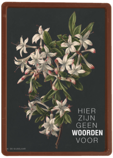 hier zijn geen woorden voor bloemen