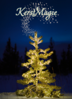 kerstkaart kerstmagie
