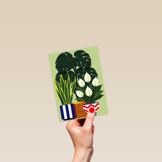 Nieuw Huis Planten