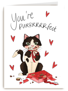 Valentine You are purrfect Matia