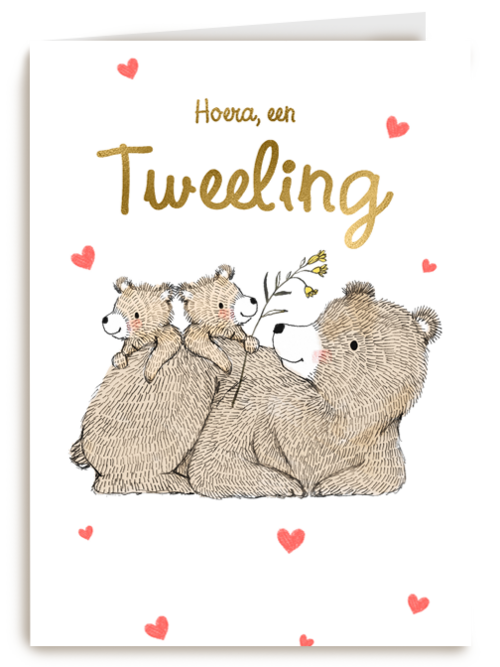 Tweeling geboortefelicitatie 2 lieve beertjes