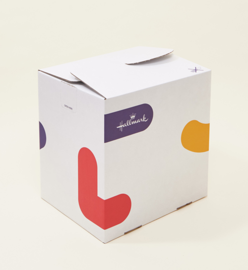 Ballon Voetbal Zwart Wit