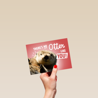 theres no otter like you